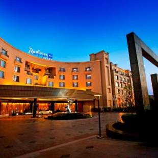 Фотографии гостиницы 
            Radisson Blu Plaza Delhi Airport