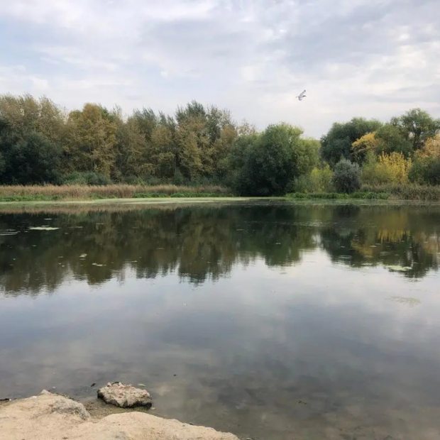 Фотографии квартиры 
            Apartamenty na ulitse Naberezhnaya 9в