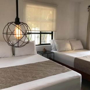 Фотография гостиницы Casa Malva Sweet Stay