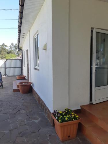 Фотография гостевого дома Гостиний Двір Левада