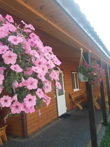 Фотография гостевого дома Максим