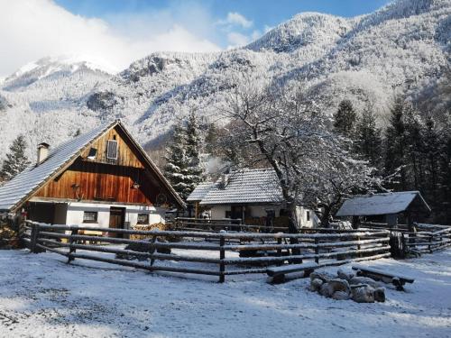 Фотография гостевого дома Bohinj house Lizina Hiška