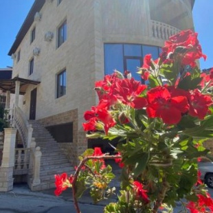 Фотография гостевого дома Ноев Ковчег