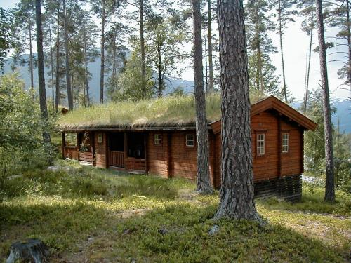 Фотография гостиницы Vesterland Feriepark Hytter, hotell og leikeland