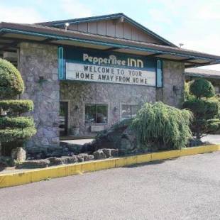 Фотографии гостиницы 
            Pepper Tree Inn