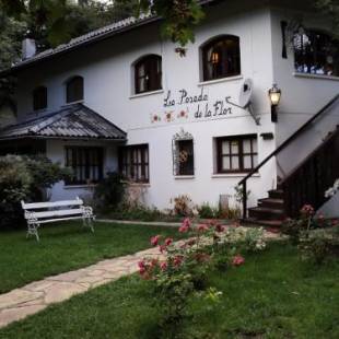 Фотографии мини отеля
Posada de la Flor