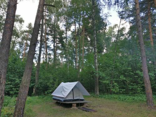 Фотография базы отдыха Глэмпинг freeroomterra