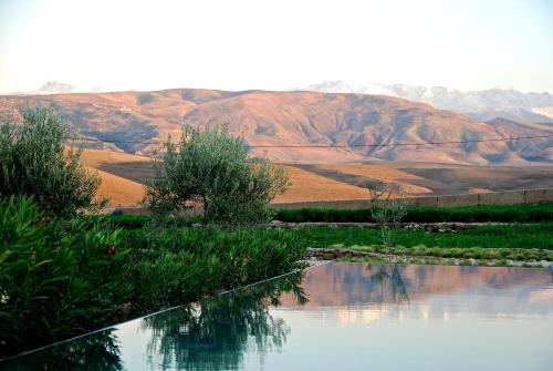 Фотография гостиницы Kasbah Beldi