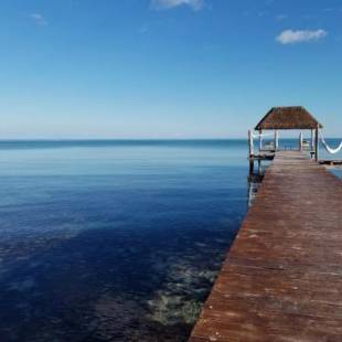 Фотографии гостиницы
Cielo Maya Beach Tulum