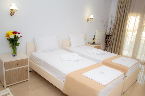 Фотография гостиницы Hotel Astron