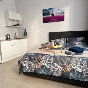 Фотография квартиры Апартаменты 1 на Улице Амундсена 5