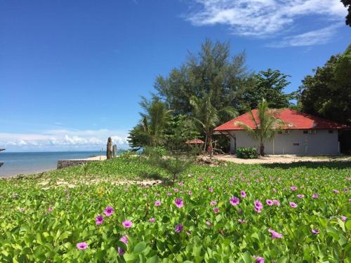 Фотография мини отеля Red Coral Cottage