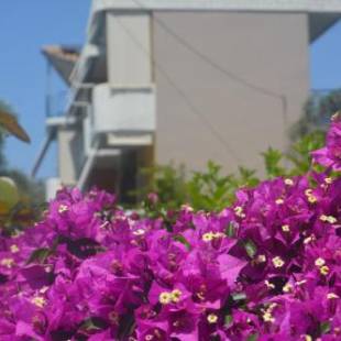 Фотографии гостевого дома
Eleonas Apartments