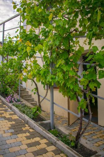 Фотография гостевого дома Персиковый сад