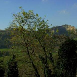 Фотографии гостиницы
Hotel Bellevue