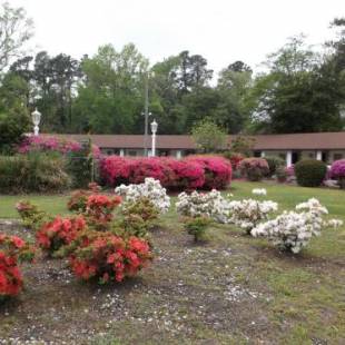 Фотографии мотеля
Azalea Inn & Suites