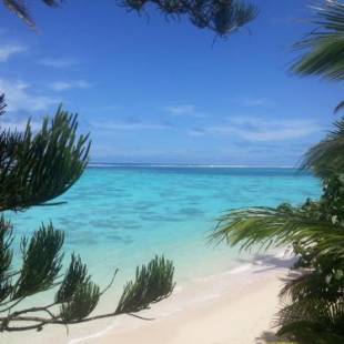 Фотографии гостевого дома
Arapati Holiday Homes