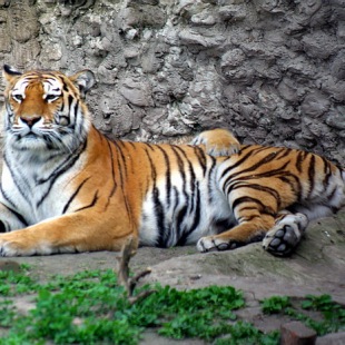 Фотография Харьковский зоопарк