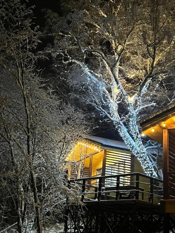 Фотография Коттеджа Частный дом Веселые гуси 1