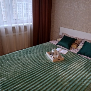 Фотография квартиры Апартаменты около Ледового дворца