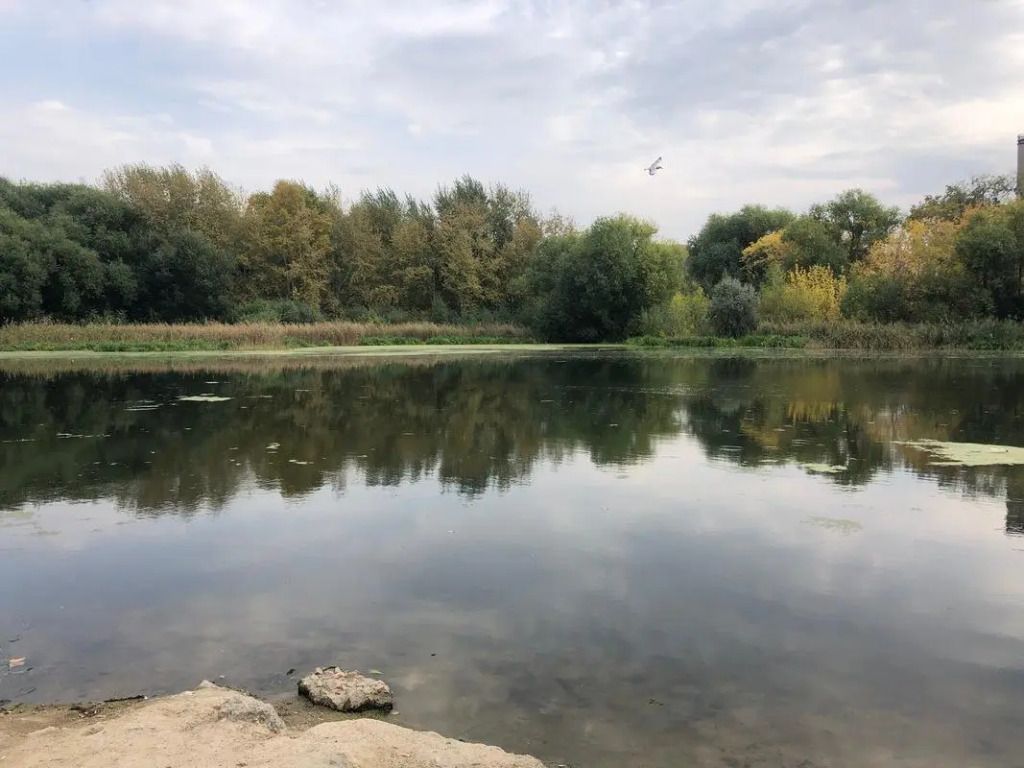 Фотография квартиры Apartamenty na ulitse Naberezhnaya 9в