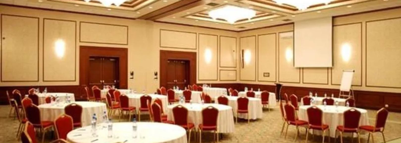 Фотография конференц-зала Петровский А,Б