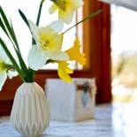 Фотография гостевого дома Soba Lana