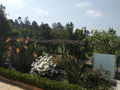 Фотография гостевого дома Casa da Estivada, 313