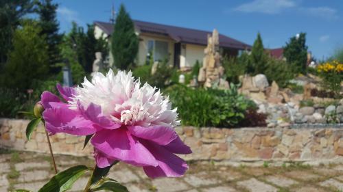 Фотография гостевого дома Шале на Драгунской, 38а