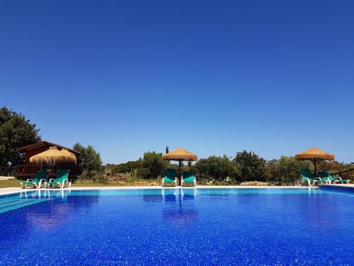 Фотография мини отеля Guesthouse Quinta Saleiro