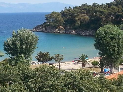 Фотография гостевого дома Bellevue Houses