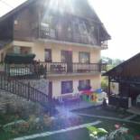 Фотография гостевого дома Casa Rosca Busteni