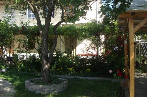 Фотография гостевого дома Vardzia K A L A