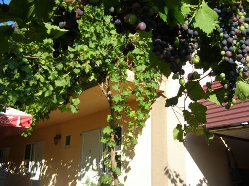 Фотография гостиницы Барракуда