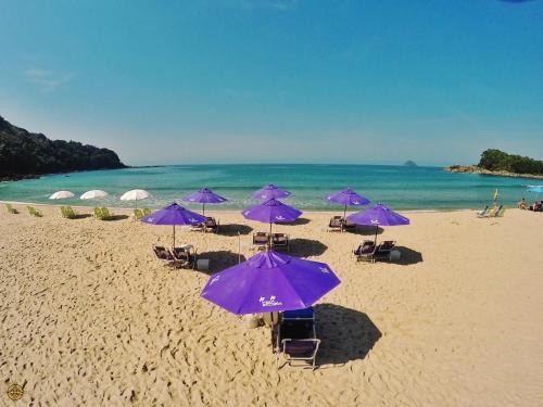 Фотография гостевого дома Coco Bambu Cambury