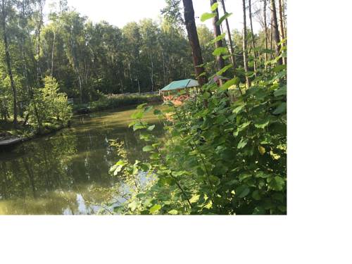 Фотография мини отеля Берлога