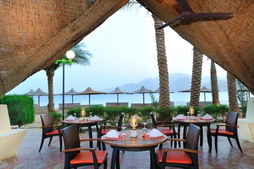 Фотография гостиницы Tirana Dahab Resort
