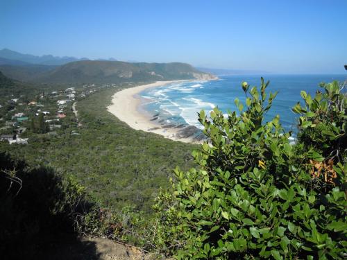 Фотография гостевого дома Forest Drive Holiday Home