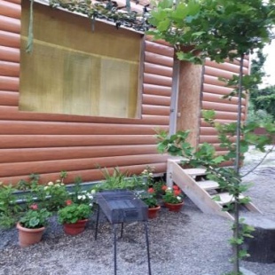 Фотография гостевого дома На Черешеневой, 1б