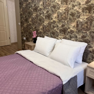 Фотография квартиры Апартаменты Двухкомнатные в центре