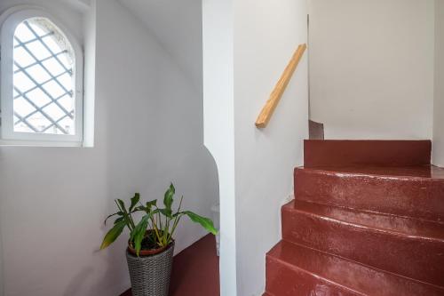 Фотография гостевого дома Home in one of Évora´s most historical squares