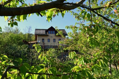 Фотография гостевого дома Casuta din Padure