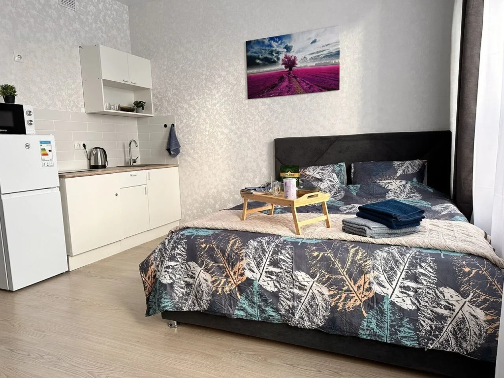 Фотография квартиры Апартаменты 1 на Улице Амундсена 5