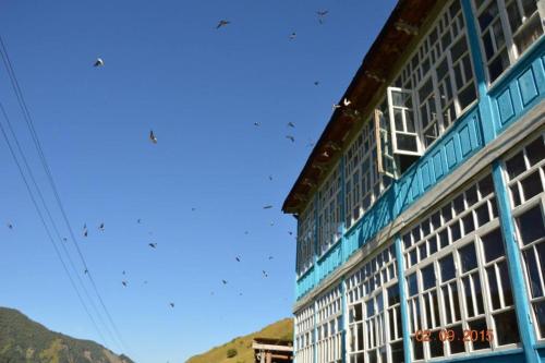 Фотография гостевого дома Елизаветы