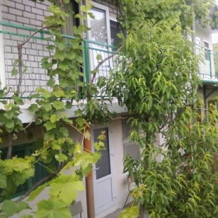 Фотография гостевого дома Березка