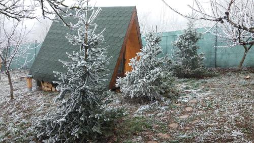 Фотография базы отдыха Zen Garden