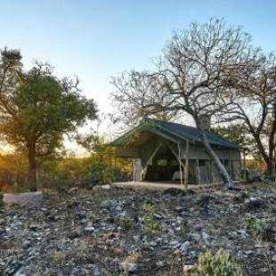 Фотографии базы отдыха
ZuriCamp - Tent Amani