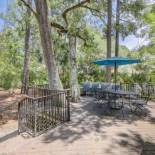 Фотография гостевого дома Tupelo Cottage