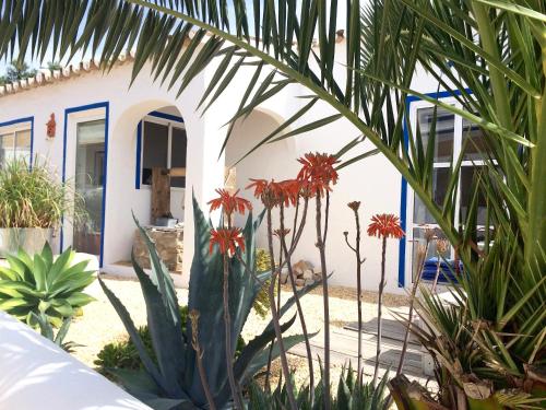 Фотография гостевого дома Casa da Aldeia