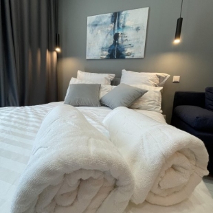 Фотография квартиры Апартаменты Сканди-студия в ЖК Южный бульвар